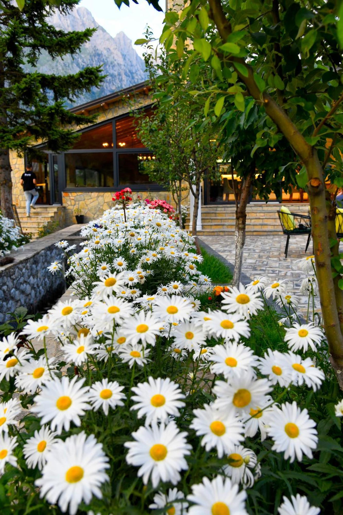 Breezy Hotel Валбона Экстерьер фото
